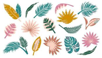 Set of exotic tropical leaves. Bunch of Jungle palm leaf isolated. Modern foliage of rainforest. Modern abstract color nature. Vector flat illustration