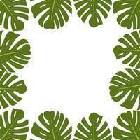 Green Frame with Monstera Leaves vector