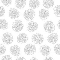 Seamless Pattern with Contour Monstera Leaves vector