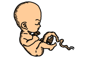 Sleeping Baby Illustration png