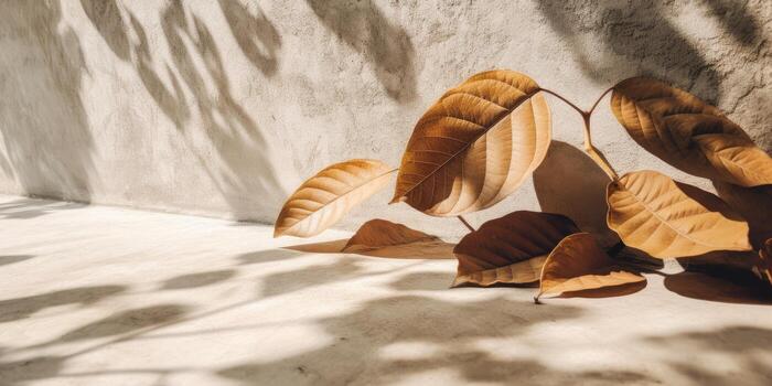 Minimal abstract concrete texture background, neutral colored background wall textured surface with shadow for cosmetic spa health wellness product presentation. illustration photo