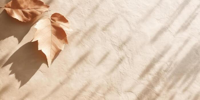 Minimal abstract concrete texture background, neutral colored background wall textured surface with shadow for cosmetic spa health wellness product presentation. illustration photo