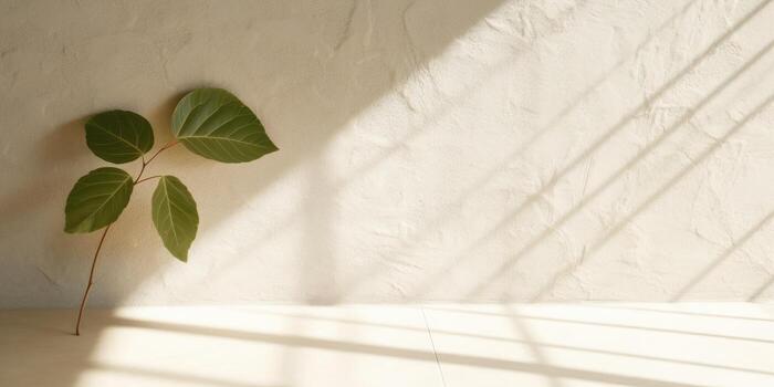 Minimal abstract concrete texture background, neutral colored background wall textured surface with shadow for cosmetic spa health wellness product presentation. illustration photo