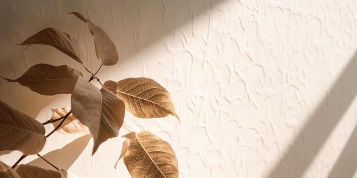 Minimal abstract concrete texture background, neutral colored background wall textured surface with shadow for cosmetic spa health wellness product presentation. illustration photo