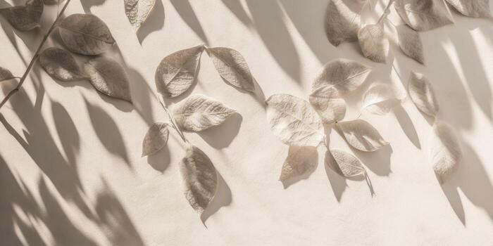 Minimal abstract concrete texture background, neutral colored background wall textured surface with shadow for cosmetic spa health wellness product presentation. illustration photo