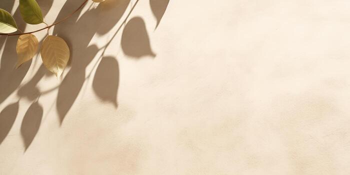 Minimal abstract concrete texture background, neutral colored background wall textured surface with shadow for cosmetic spa health wellness product presentation. illustration photo