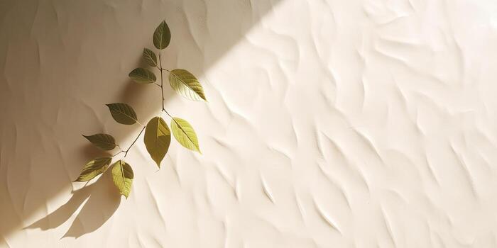 Minimal abstract concrete texture background, neutral colored background wall textured surface with shadow for cosmetic spa health wellness product presentation. illustration photo