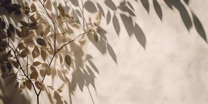 Minimal abstract concrete texture background, neutral colored background wall textured surface with shadow for cosmetic spa health wellness product presentation. illustration photo