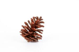 Christmas  Pine Cone Decoration Hangling on white background photo