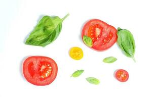 Tomato and Basil photo