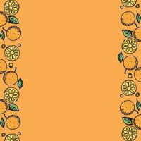 Fruit frame. Orange background vector