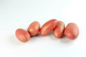 red color small baby potato on white background photo