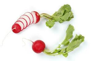 Small red radish on white background photo