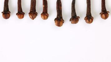 Fragrant dry clove but spice macro closeup top view in a row border frame on white background photo