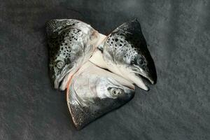 Cut Cleaned Salmon Trout Fish Head half photo