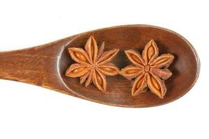 Star Anise Fragrant Spice photo