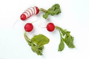 Small red radish on white background photo