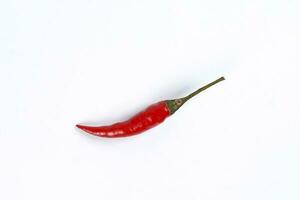 Red birds eye chilli  on white background photo