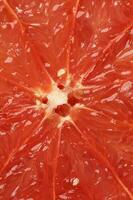 Ruby red grapefruit cut closeup photo