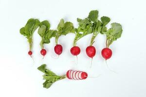 Small red radish on white background photo