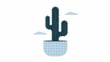 cactus flor en nubes animación. animado planta en maceta 2d dibujos animados plano color línea objeto. en conserva Desierto flor 4k vídeo concepto imágenes en blanco con alfa canal transparencia para web diseño video