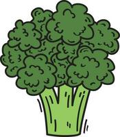 Green Broccoli Vegetable Illustration Food vector