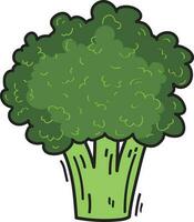 Green Broccoli Vegetable Illustration Food vector