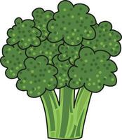 verde brócoli vegetal ilustración comida vector