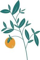 Orange Fresh Fruit Natural Illustration vector