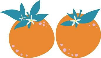 naranja Fresco Fruta natural ilustración vector