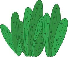 Cactus Rustic Organic Leaves Botanical Sketches Illustration Plant Art vector