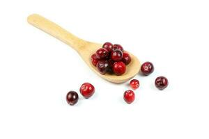 Small Red Cranberry photo