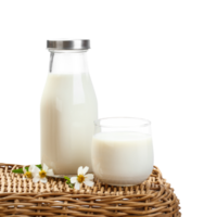 A bottle of milk and glass of milk on a basket table with transparent background png, nutritious and healthy dairy products png