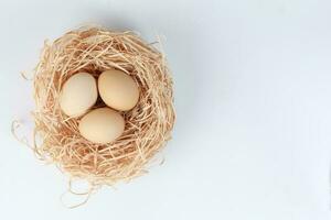 Eggs in a nest basket on white background photo