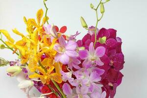 Colorful Orchid Flower photo