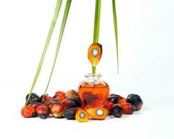Oil Palm Fruit bulb bottle photo