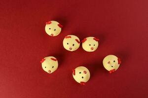 Chinese New Year rat mouse shaped cookie on red background photo