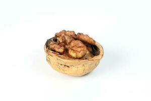 Walnut in shell photo