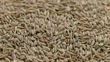 dry dill seeds on flat surface, slow rotating looped background video