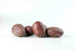 Purple color small baby potato on white background photo