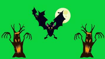 contento Halloween verde schermo video