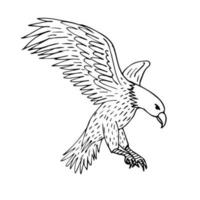 vector mano dibujado bosquejo volador águila