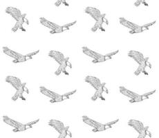 Vector seamless pattern of hand drawn eagle
