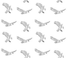 Vector seamless pattern of hand drawn eagle