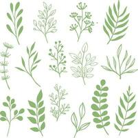 vector set illustration green leaf simple shape