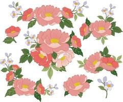 Elements bouquet of flowers illustration vector set