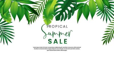 Summer sale tropical background, Exotic tropical leaves frame Lovely natural frame with tropical. Isolate on white background vector illustration.