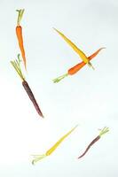 Colorful Rainbow Carrot photo