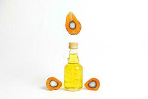 Oil Palm Fruit bulb bottle photo