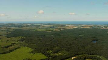 Top view, summer landscape, nature. Green forests, fields and sea, view from the airplane window video